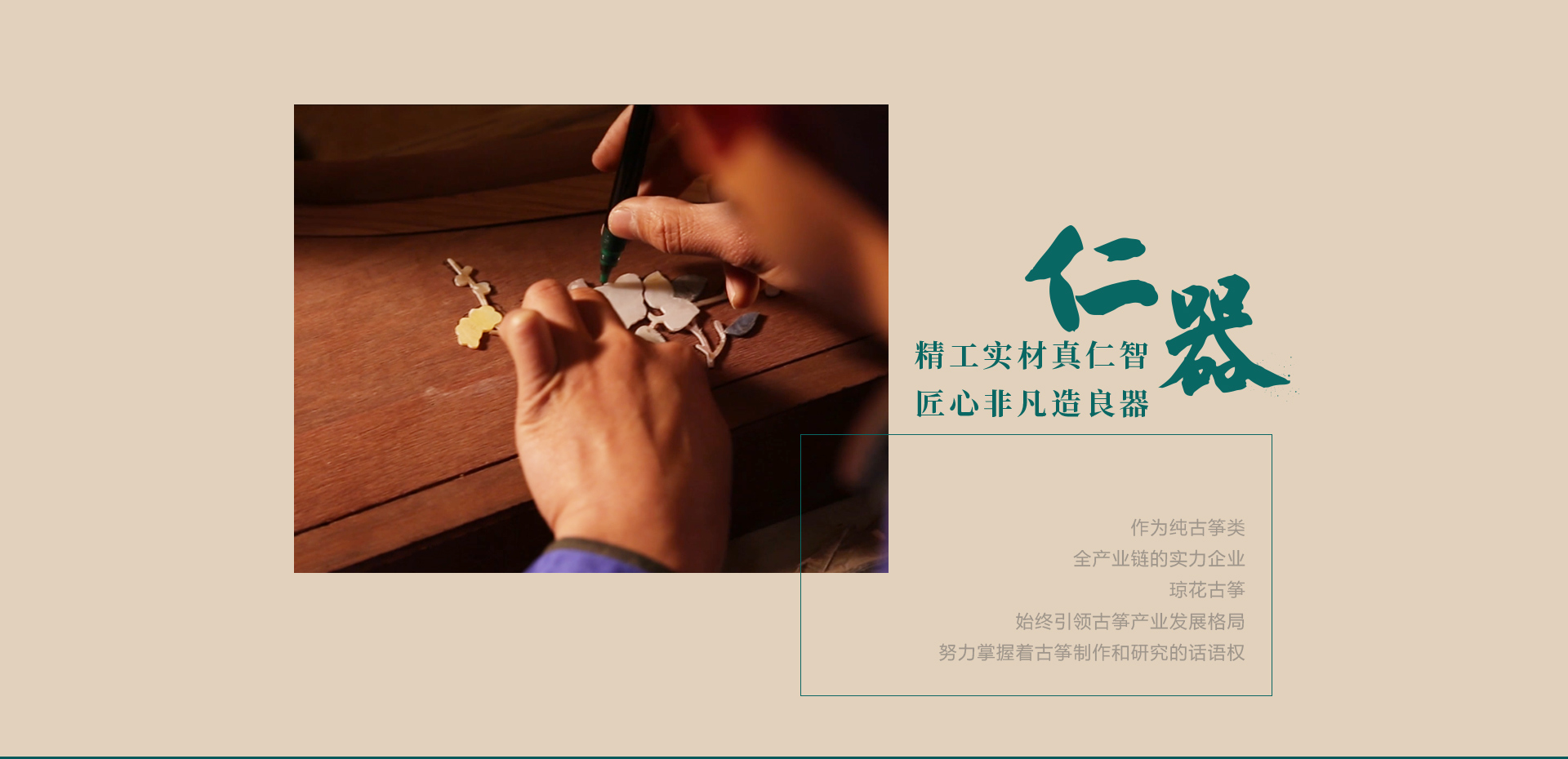 琼花 图片