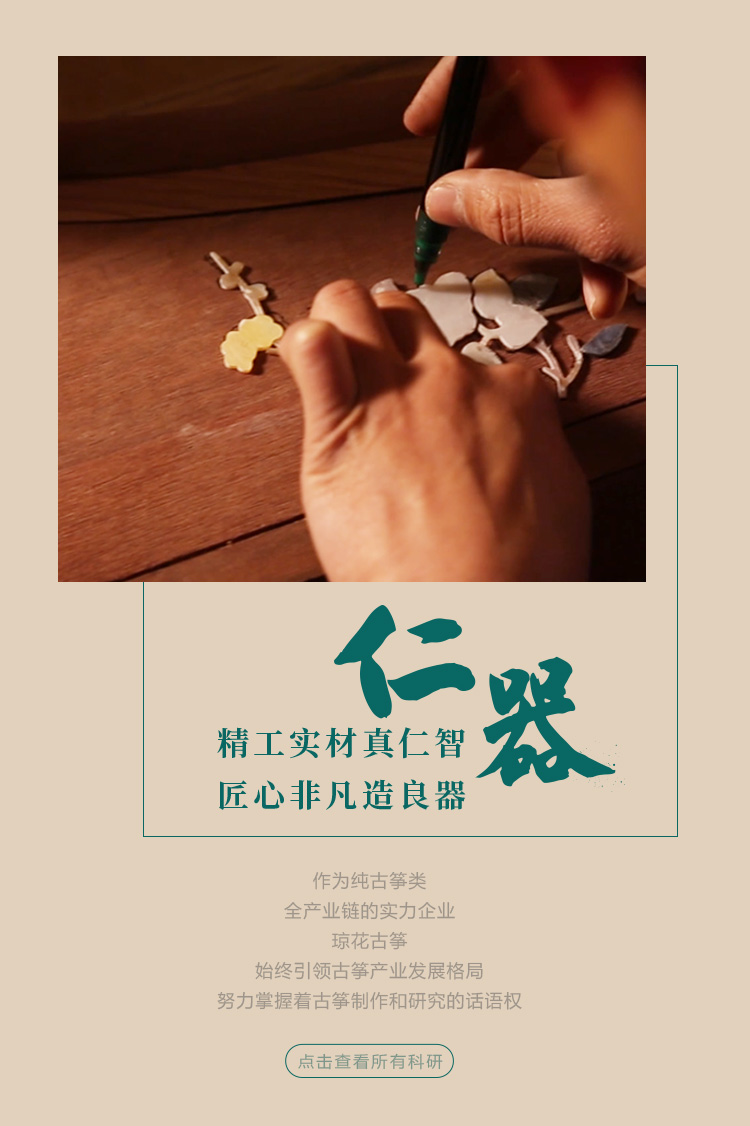 琼花 图片